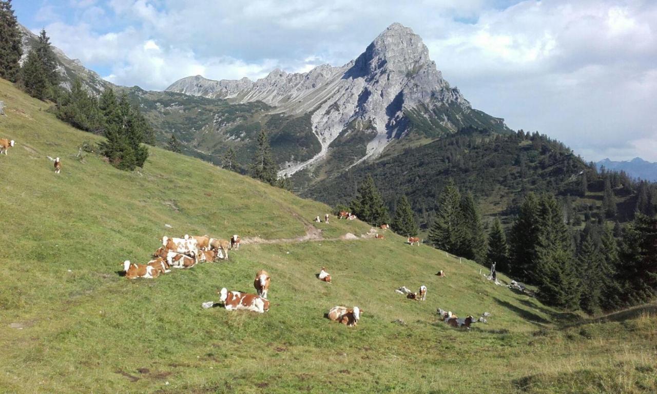 Burtscherhof In Braz Ausserbraz Ngoại thất bức ảnh